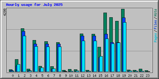 Hourly usage for July 2025