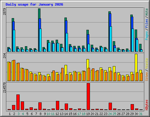 Daily usage for January 2026